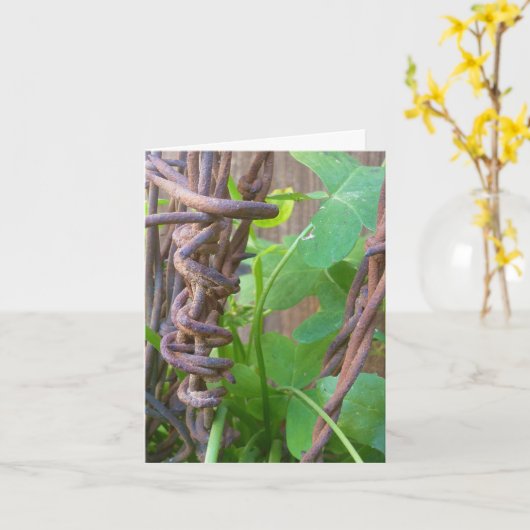 Carte Le fil Barbed de papa (Fleur jaune)