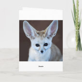 Carte Le Fox de Fennec le plus mignon des mondes (Dos)