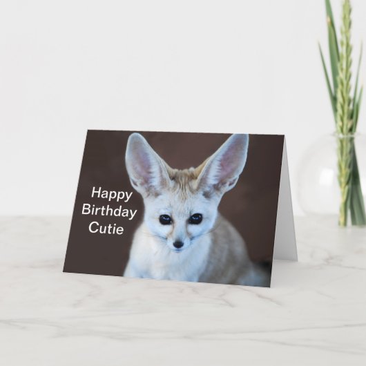 Carte Le Fox de Fennec le plus mignon des mondes (Devant)