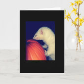 Carte Le furet et le citrouille (Fleur jaune)