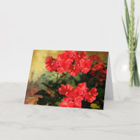 Le géranium rouge de style antique fleurit des