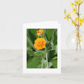 Carte Le Golden Note (Fleur jaune)