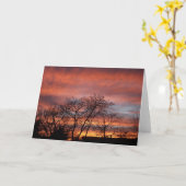 Carte Le grand ciel (Fleur jaune)