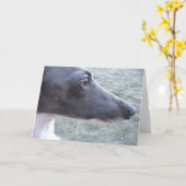 Carte Le gros plan de Lizzie (Fleur jaune)