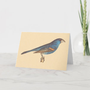 Carte Le Grosbeak bleu, les oiseaux new-yorkais de James