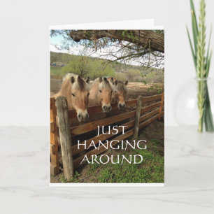 CARTE LE GROUPE DES CHEVAUX COOL DIT "JOYEUX ANNIVERSAIR