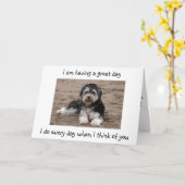 CARTE LE HAVANAIS A UN GRAND JOUR D'ANNIVERSAIRE (Fleur jaune)