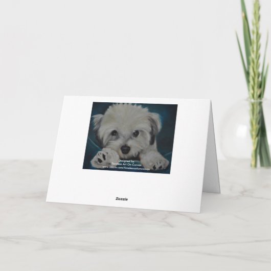 Carte Le Havanese (Dos)