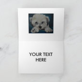 Carte Le Havanese (Intérieur)