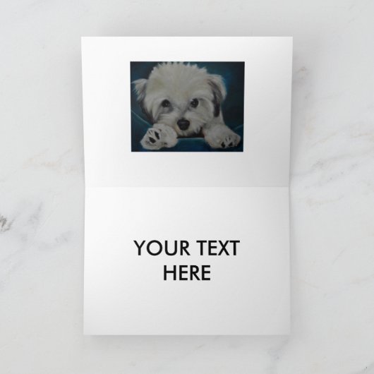 Carte Le Havanese (Intérieur)