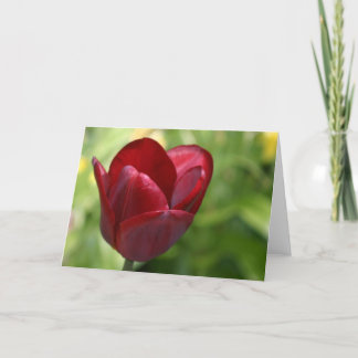 Carte Le Jeton rouge