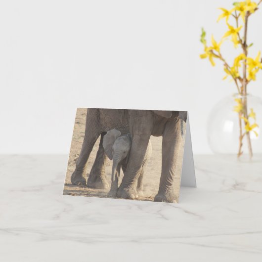 Carte Le jour de mère (éléphant de bébé) (Fleur jaune)