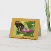 Carte Le jour de mère heureux, ami, papillon sur la (Dos)