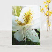 Carte Le jour de mère Rhody (Fleur jaune)