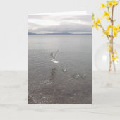 Carte Le jour de St Patrick (Fleur jaune)