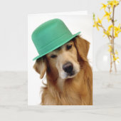 Carte Le jour de St Patrick de golden retriever (Fleur jaune)
