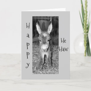 CARTE LE JOYAU DE DONKEY BABY SAY