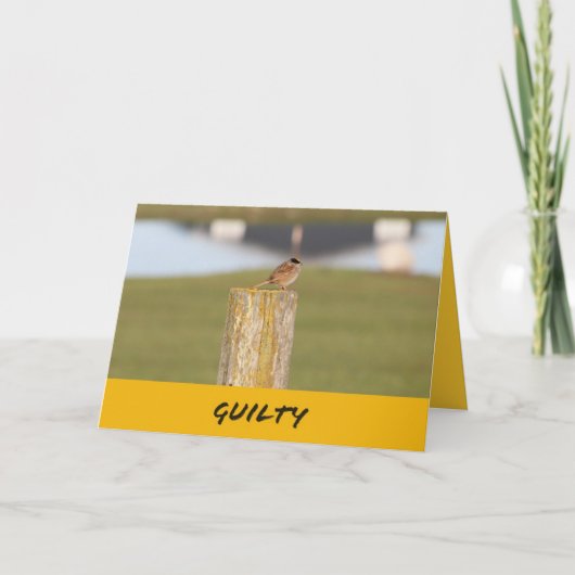 Carte Le joyeux anniversaire un oiseau m'a indiqué qu'il (Devant)