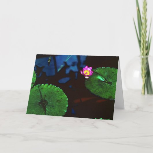 Carte Le Koi (Devant)