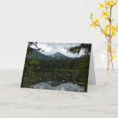 Carte Le lac Johns II du parc national Glacier (Fleur jaune)