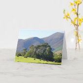 Carte Le Lake District-Keswick (Fleur jaune)