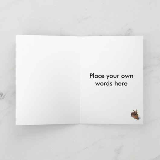 Carte :  Le lapin (Intérieur)