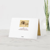 CARTE LE LION DU CAPE COUCHÉ (Dos)