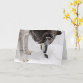 Carte Le loup rencontre la souris (Fleur jaune)