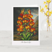 Carte Le Lys Superbe — Réinterprétation Botanique Modern (Fleur jaune)