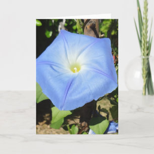 Carte Le meilleur de tout dans votre Nouvelle Maison! Bo