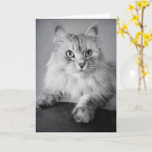 Carte Le Meow Anniversaire (Fleur jaune)