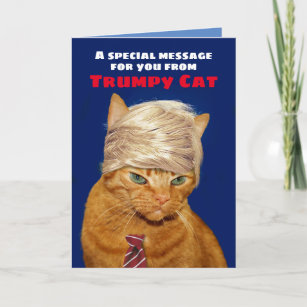 Cadeaux Chat Pourri Zazzle Be