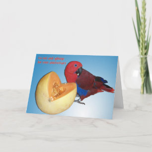 Carte Le miel énumèrent