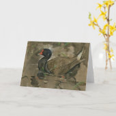 Carte Le Moorhen | Joseph Crawhall (Fleur jaune)