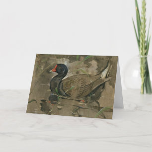 Carte Le Moorhen   Joseph Crawhall
