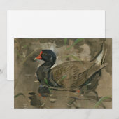 Carte Le Moorhen | Joseph Crawhall (Devant / Derrière)