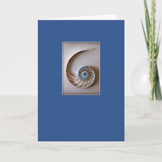 Carte Le Nautilus Shell sectionnent (Devant)