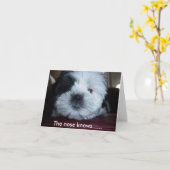 Carte Le nez sait.... (Fleur jaune)