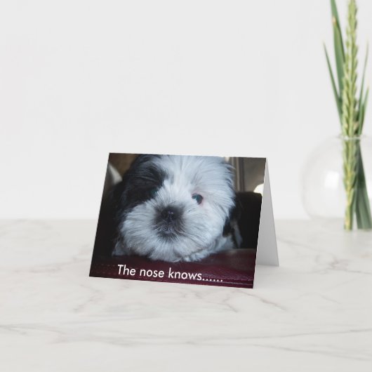 Carte Le nez sait.... (Devant)