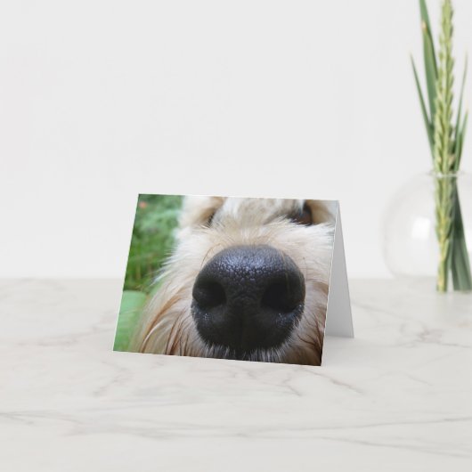 Carte Le nez sait ! (Devant)