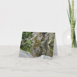 Carte Le nouveau jour fait du jardinage piscine se