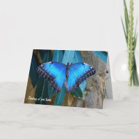 Le papillon bleu Morpho qui vous pense