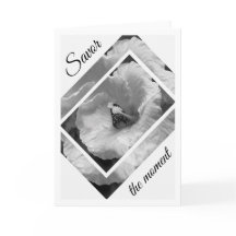 Le papillon noir et blanc Savor le moment