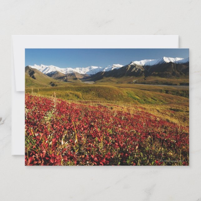 Carte Le Parc national de Denali (Devant)