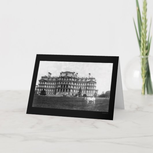 Carte Le pâturage de la vache de Taft près de l'édifice (Devant)