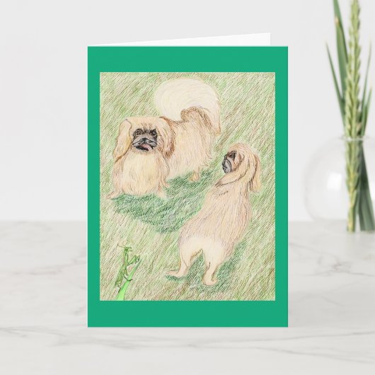 Carte Le Pekingese Et Le Mantis De La Prière (Devant)