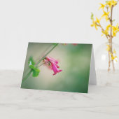 Carte Le Penstemon de la parade, fleur sauvage de (Fleur jaune)