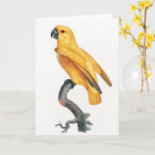 Carte Le perroquet du Sénégal (Fleur jaune)