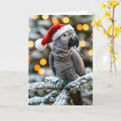 Carte Le petit aide africain gris de Santa (Fleur jaune)