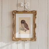 Carte Le Petit hibou | Albrecht Dürer